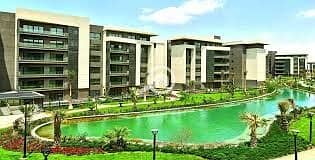 7 images (2) (1). jpg