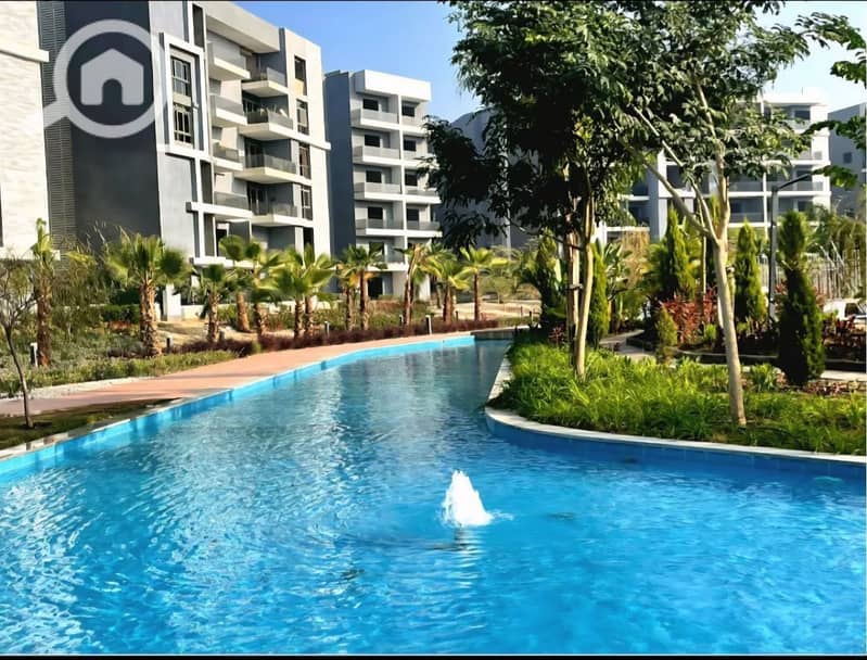 13 photo_17_2026-01-13_14-53-58. jpg