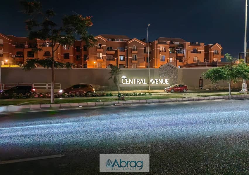 3 63615f86-b61b-4d7d-8fff-d335a46fda9d. jpeg