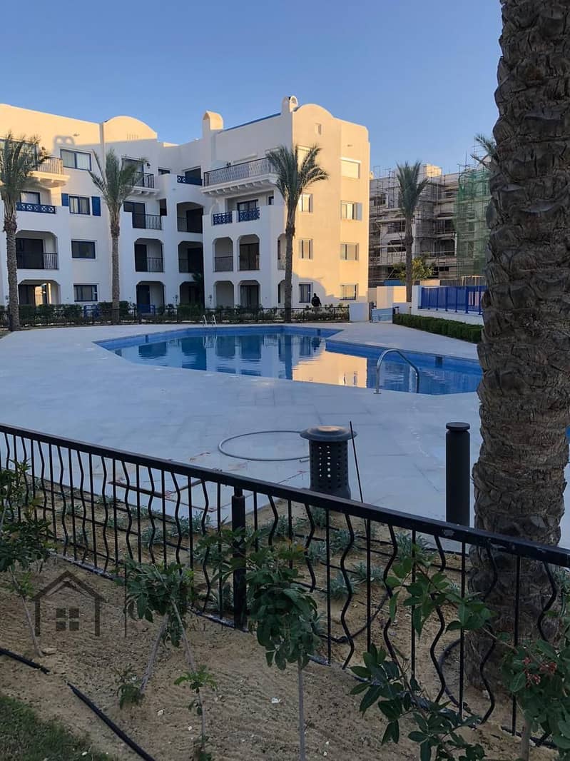 4 WhatsApp Image 2026-01-13 at 3.29. 28 PM. jpeg