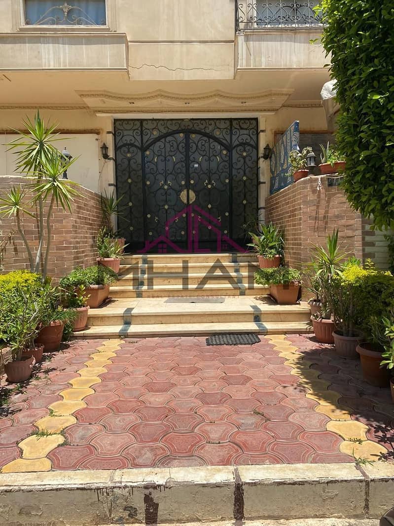 3 photo_5992275141330668405_y. jpg