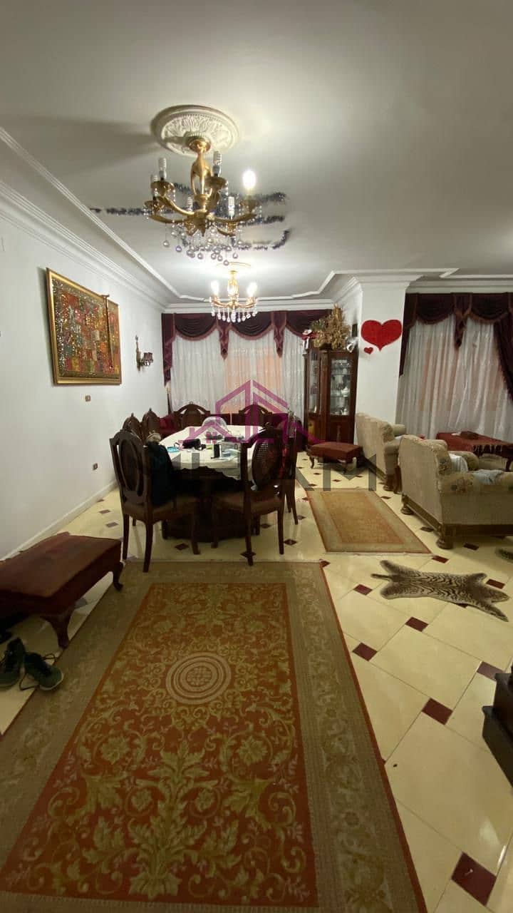 13 photo_5992275141330668416_y. jpg