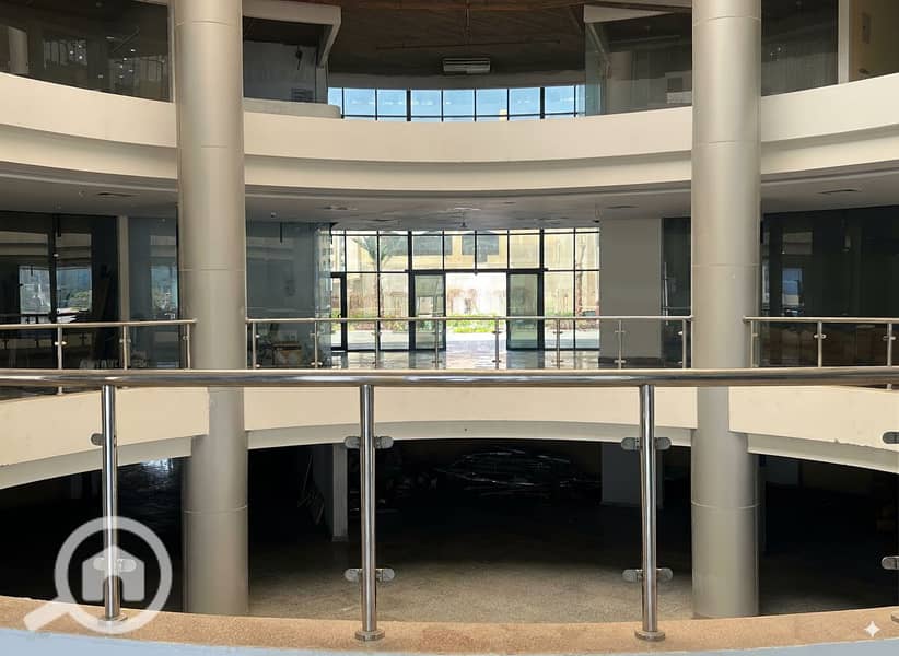 8 Generated Image September 23, 2025 - 1_55PM. png