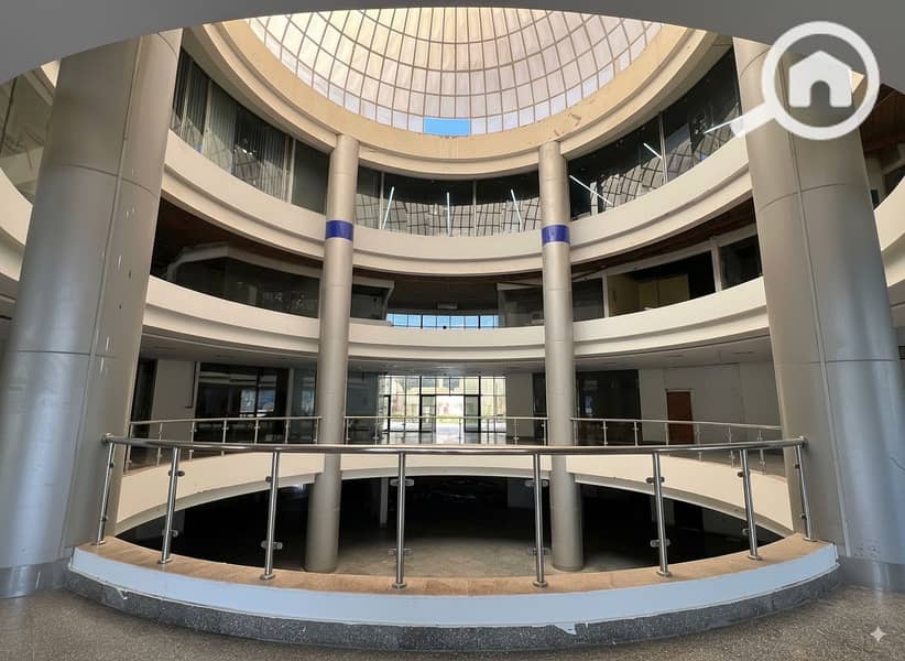 7 Generated Image September 23, 2025 - 2_06PM. png