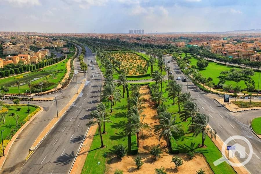 4 75328658_2579710725385179_6783925909461139456_n. jpg