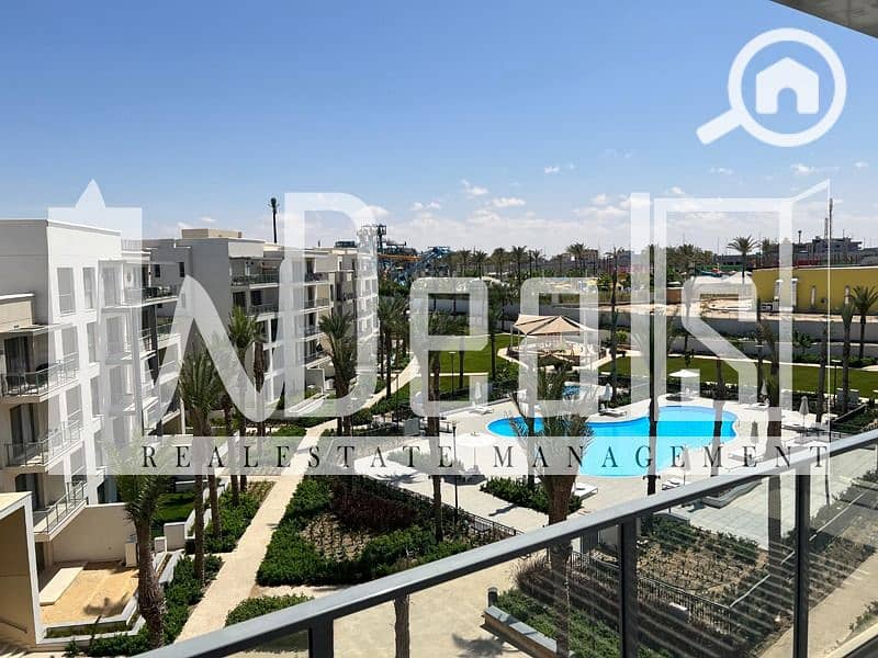 4 WhatsApp Image 2026-01-11 at 15.54. 23. jpeg