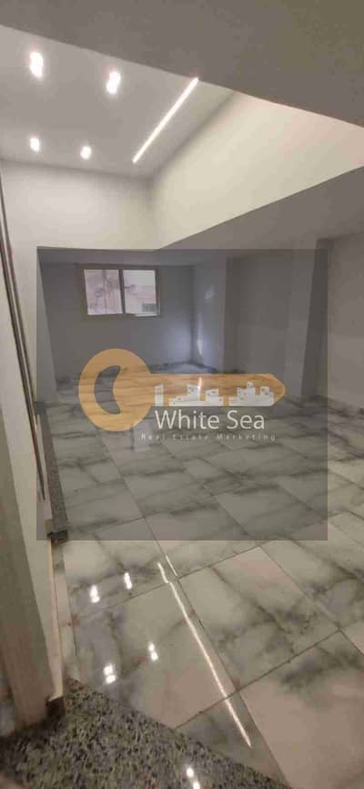 Office for Rent in Sporting, Alexandria - 1000944667. jpg