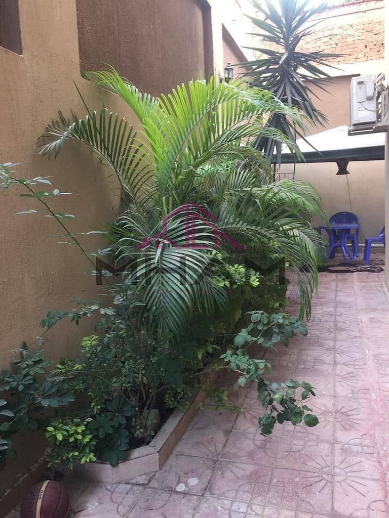 14 photo_5992216403357928393_y. jpg