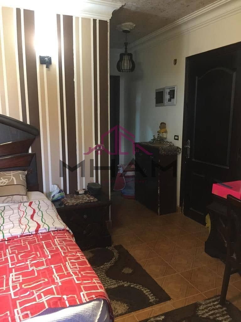 15 photo_5992216403357928394_y. jpg