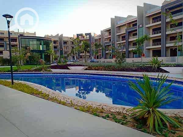 IMG_7229. jpg IMG_7229. jpg