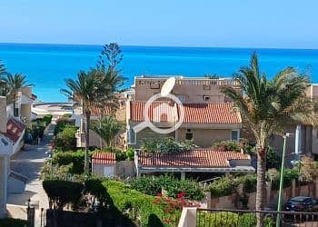 8 505988098_10160963174501889_7244607762128317728_n-350x250. jpg