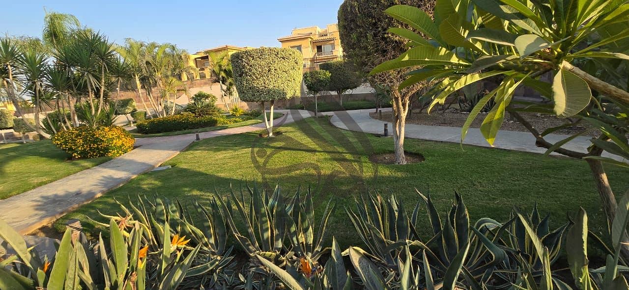 14 WhatsApp Image 2026-01-13 at 12.28. 50 PM. jpeg