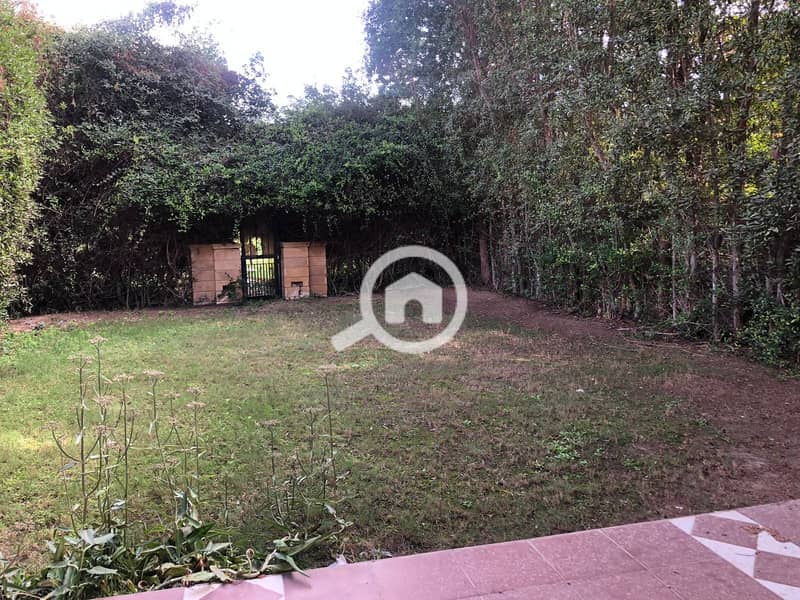 2 398bf661-ad3f-478f-8a55-5a7ed2d45e74. jpg