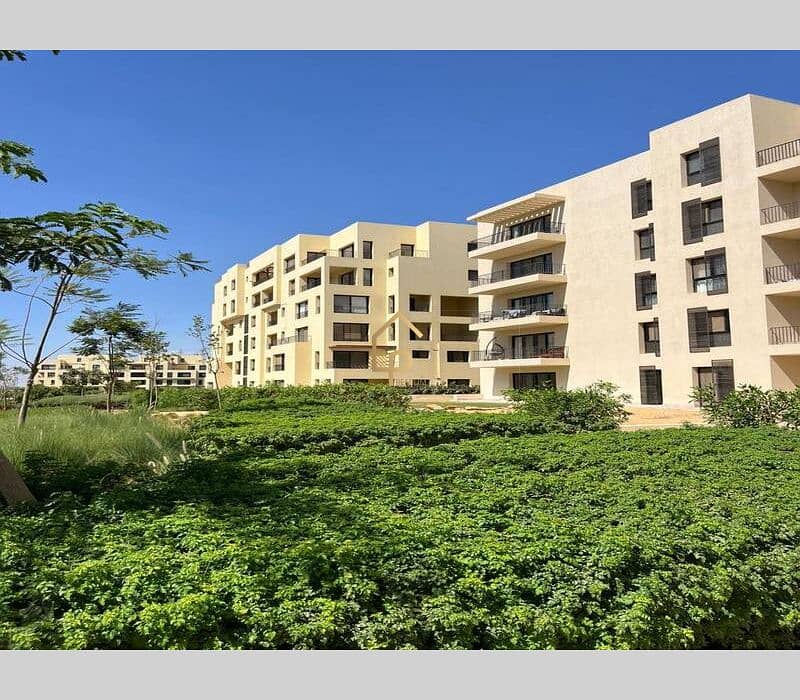 7 546105356_24512073965119193_8833539431949757026_n. jpg