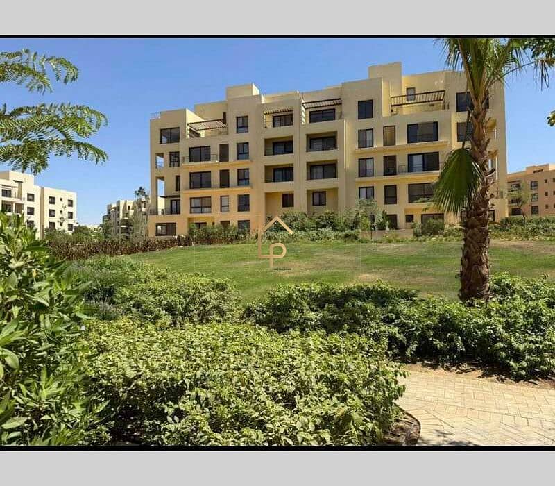 8 547259604_2656968487976108_2926432587229872805_n. jpg