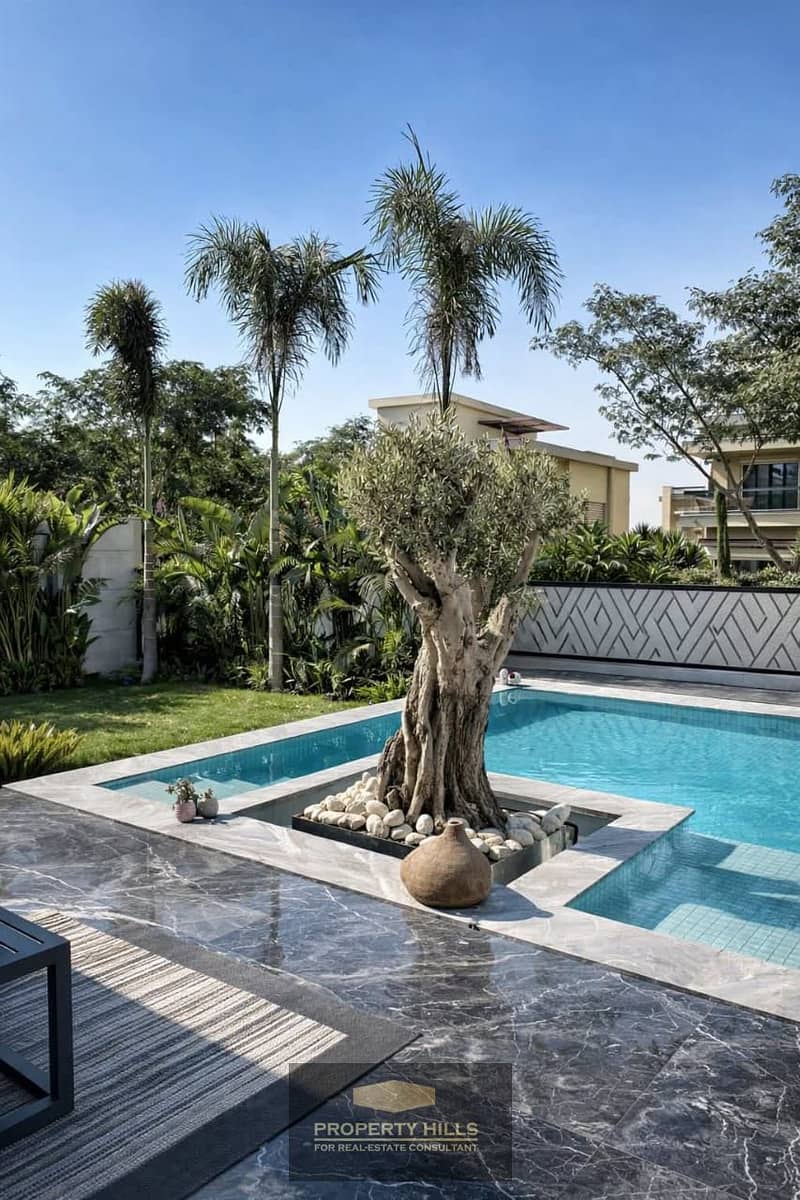 8 3218db79-45a6-4e9c-a84e-f0c389231f56. jpg