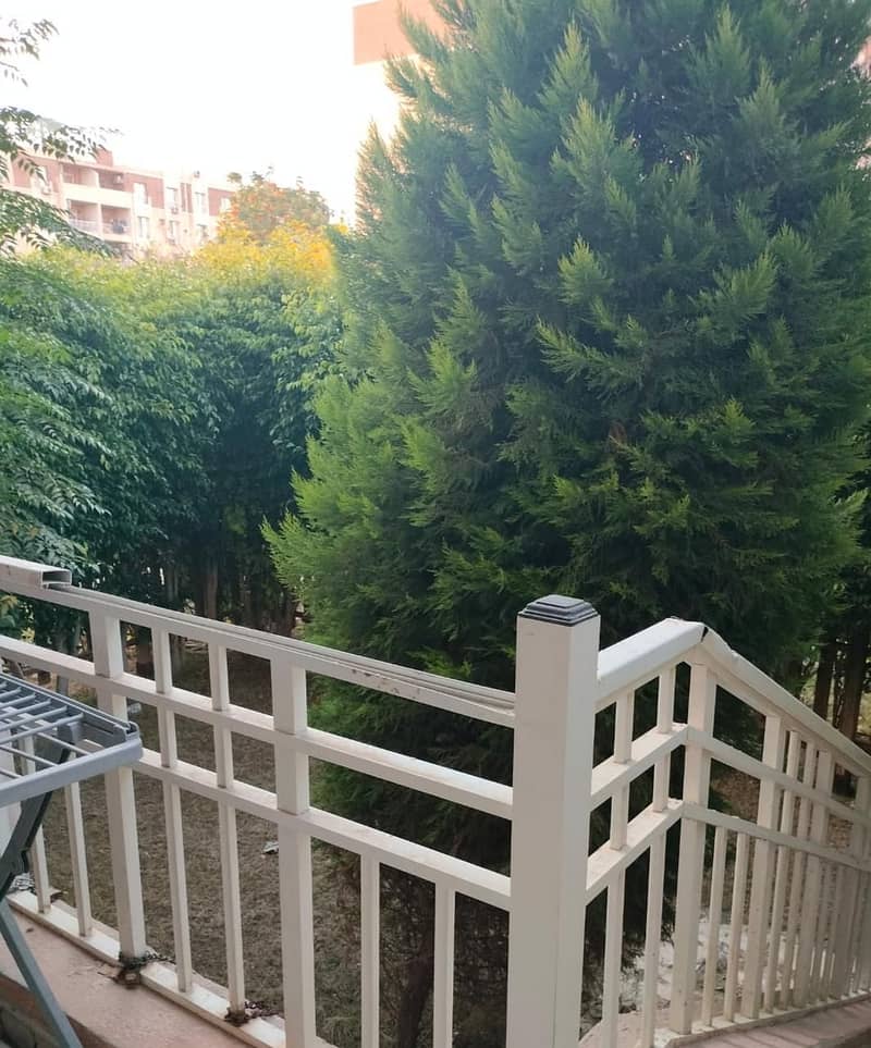 3 247edf8f-3aa8-43b5-909d-700294ff5ca9. jpeg