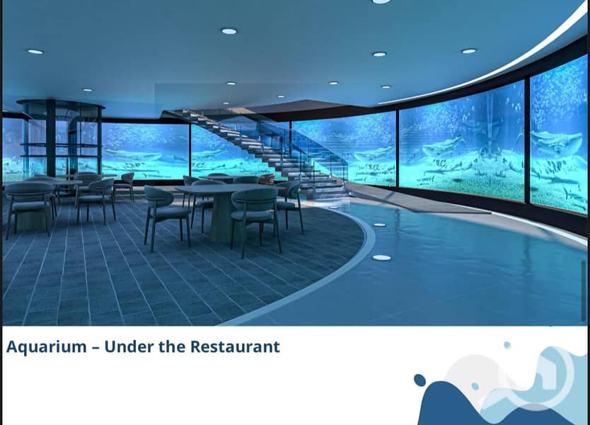 3 WhatsApp Image 2026-01-08 at 3.34. 22 AM. jpeg