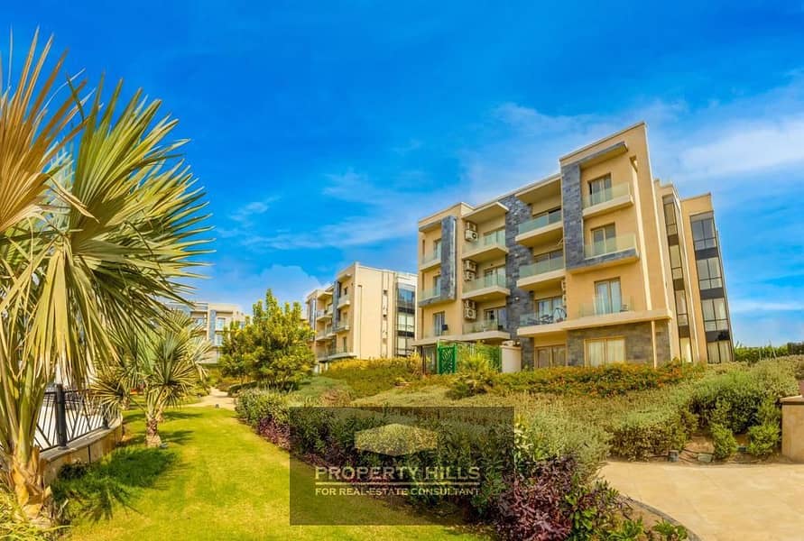 3 PHOTO-2025-06-01-15-33-43. jpg