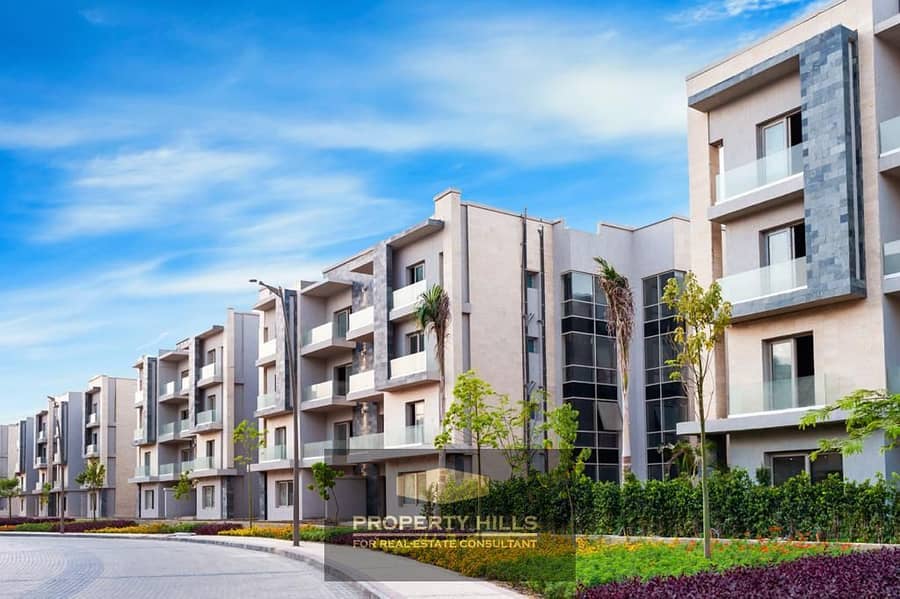 29 PHOTO-2025-06-01-15-33-39. jpg