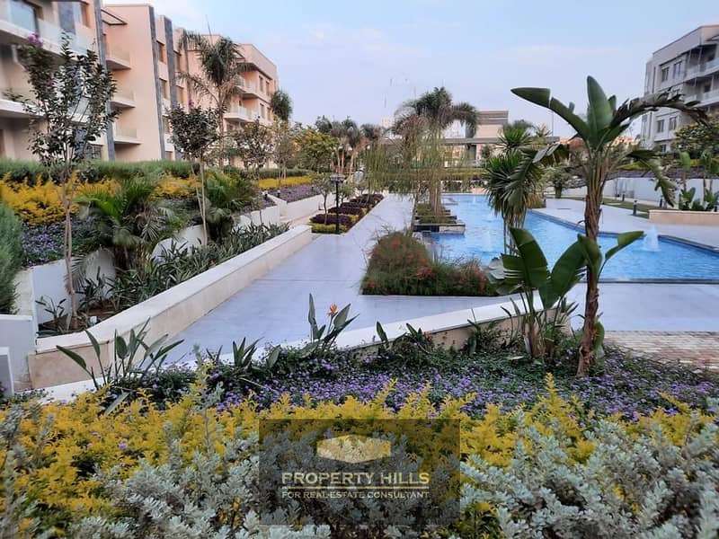 31 PHOTO-2025-06-01-15-33-41 2. jpg