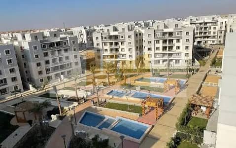 3 Bedroom Flat for Sale in New Cairo, Cairo - WhatsApp Image 2026-01-13 at 2.47. 45 PM (1). jpeg