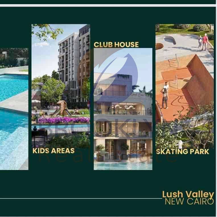 3 5ad2e3d2-51c7-4d0d-8fc0-1ce5db07877c. jpg