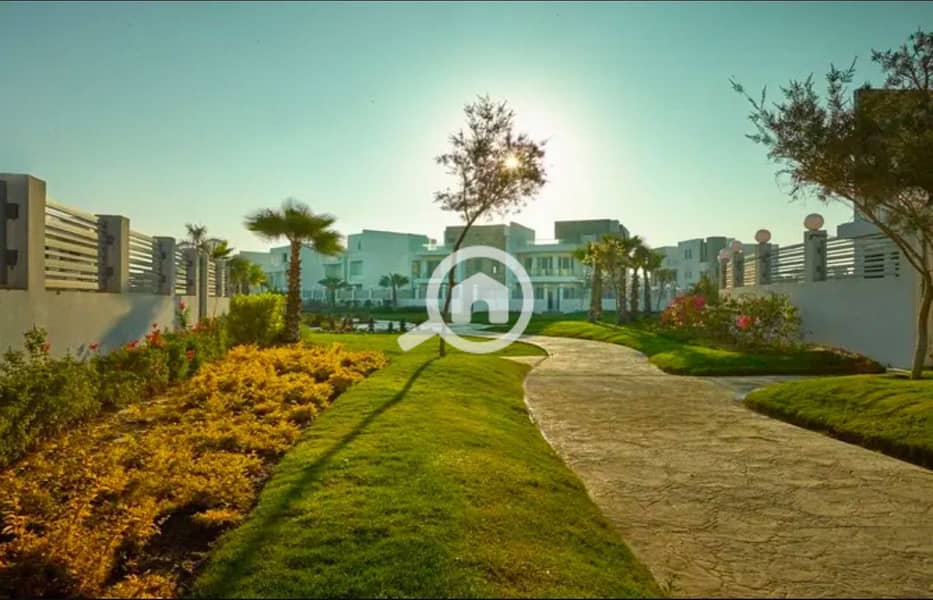 5 WhatsApp Image 2025-11-20 at 3.22. 21 AM_1400x900. jpg