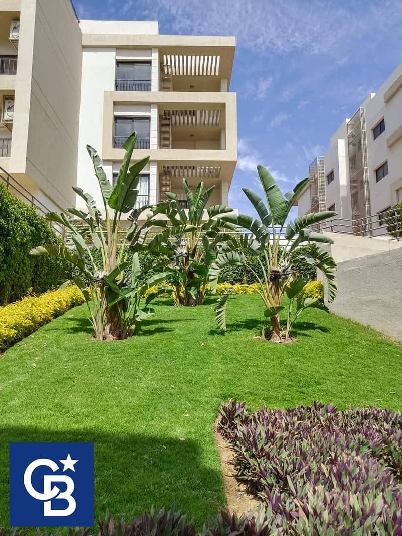 11 548191925_122232096014155722_9013448144835906075_n. jpg