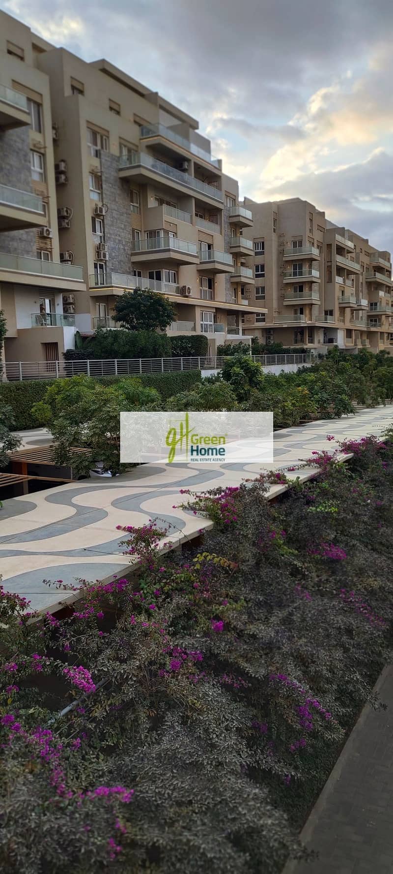 16 IMG_٢٠٢٥١٢٢٩_١٦١٧٤٧. jpg