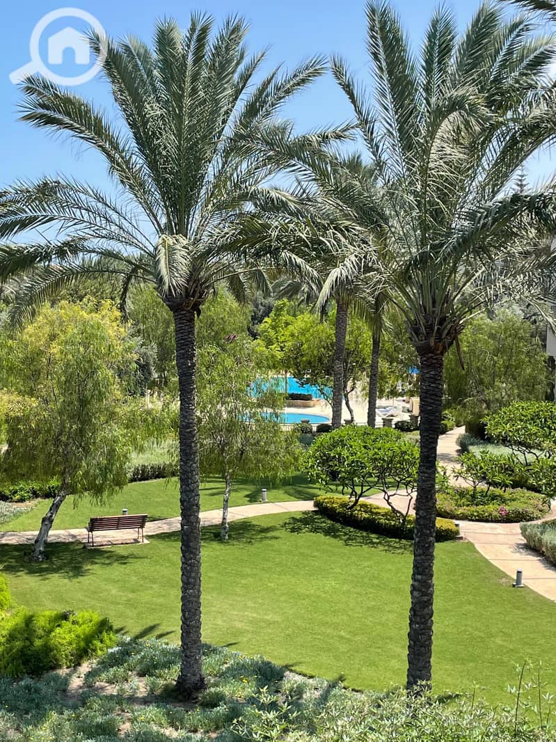 7 62ddef8c-4f10-45b1-b8c3-a1f82fcf1e6a. JPG