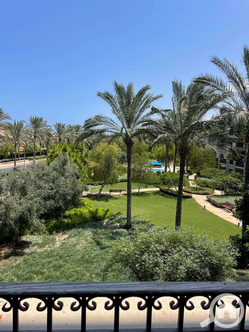 13 92836305-b626-449d-8cf7-334e10f20de6. JPG