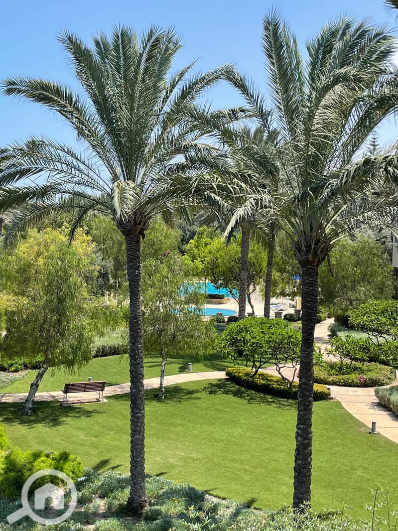 17 c537c865-7095-42f0-aae7-24fa6fa296a9. JPG