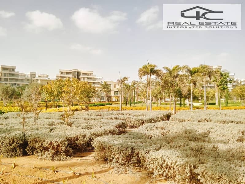 12 WhatsApp Image 2026-01-13 at 5.41. 40 PM. jpeg