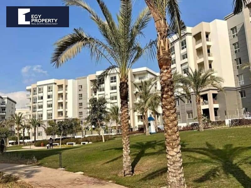 7 WhatsApp Image 2024-10-17 at 6.50. 14 AM (1). jpeg