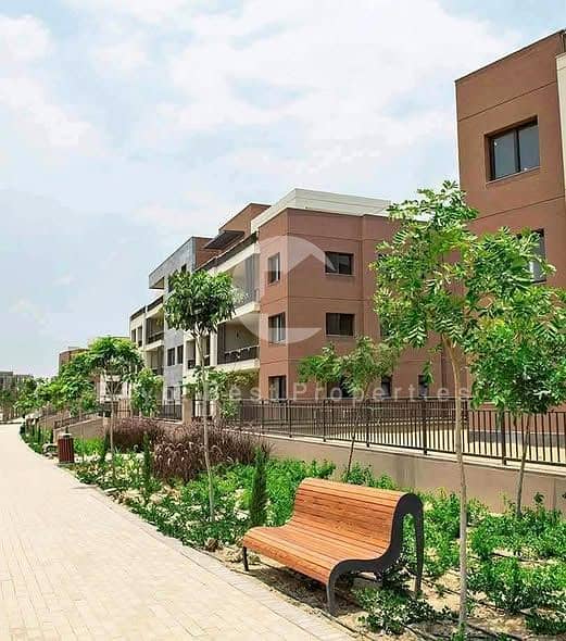 7 599592361_122144360012921143_1179959844555091234_n. jpg