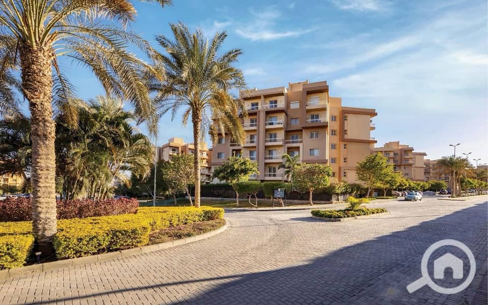 11 13cc6258-69b3-4199-bc3b-02b05f252699. jpg