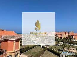 10 download (10). jpg