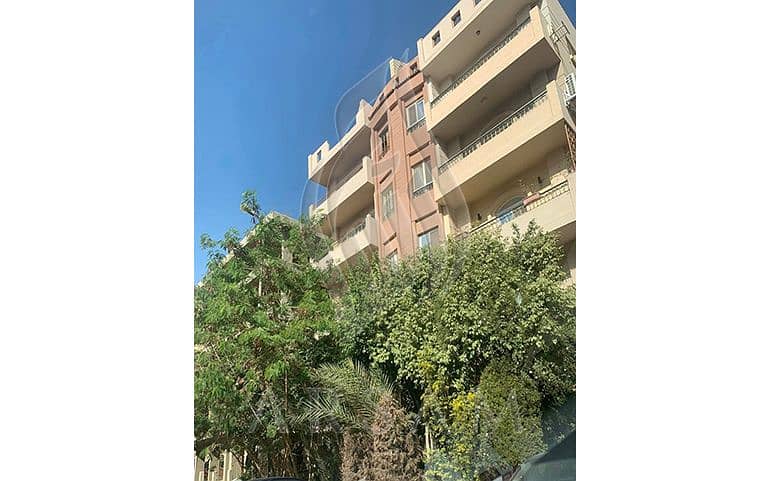 3 WhatsApp Image 2026-01-12 at 3.25. 47 PM (3). JPG