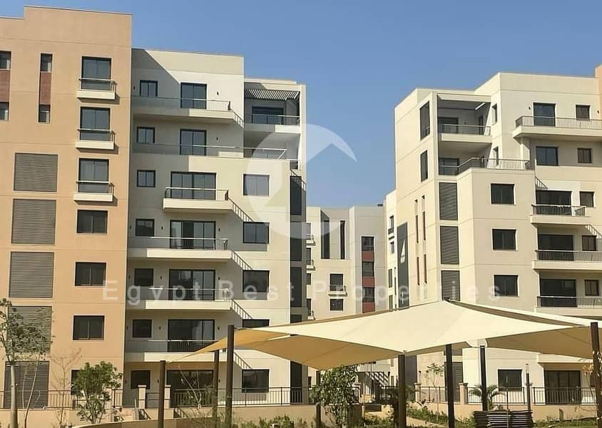 6 600963837_122256931826078436_1779433849712378270_n. jpg