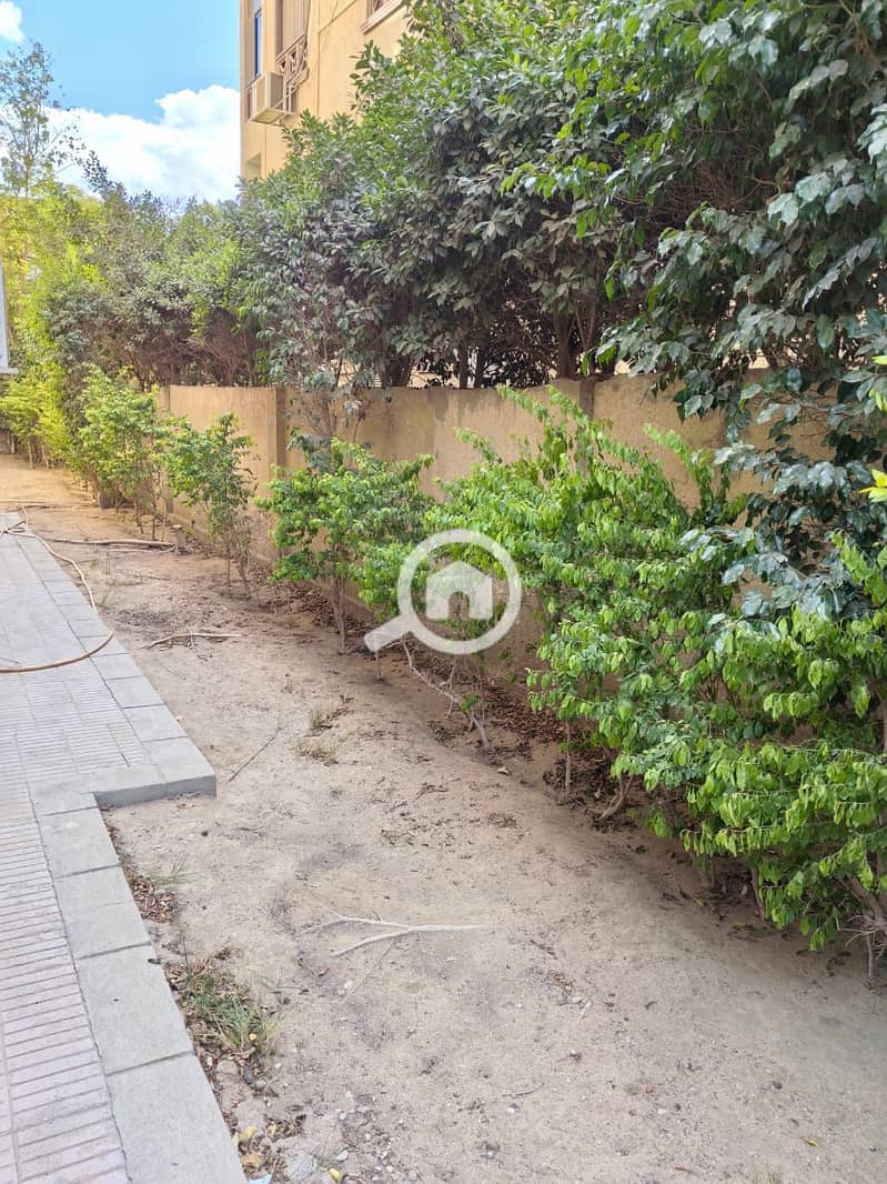 12 136011b5-7426-45a1-90b0-4cd50cb04ae2. jpg