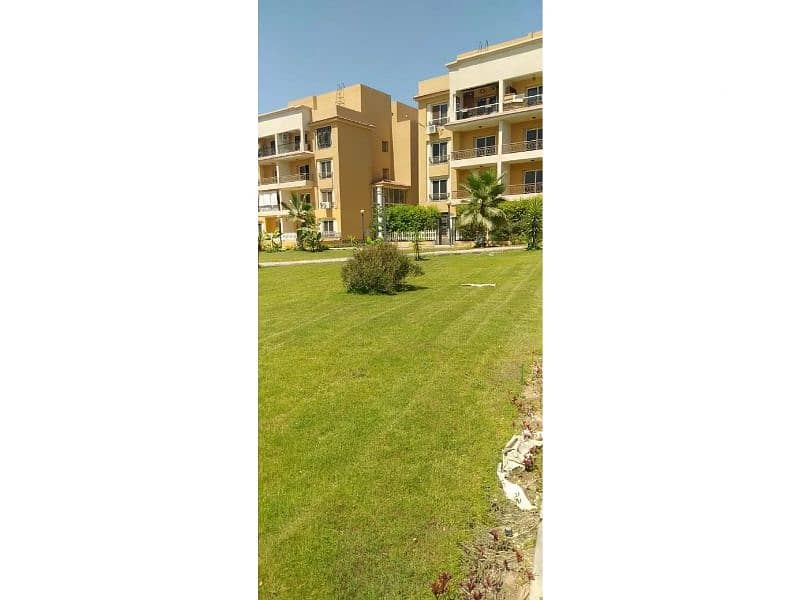 5 1180d676-22a0-41cb-978b-aacff3db77aa. jfif. jpg