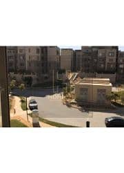 6 8448977-df2b2o. jpg