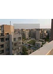 7 8450466-aa9c5o. jpg