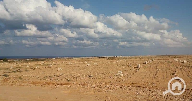 3 WhatsApp Image 2026-01-13 at 5.57. 29 PM (4). jpeg