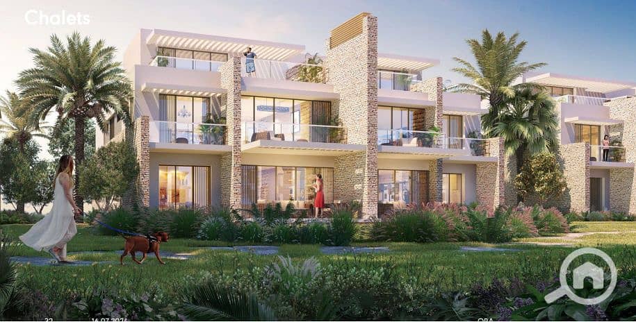 5 2024-12-24 17_17_35-PowerPoint-Präsentation. png