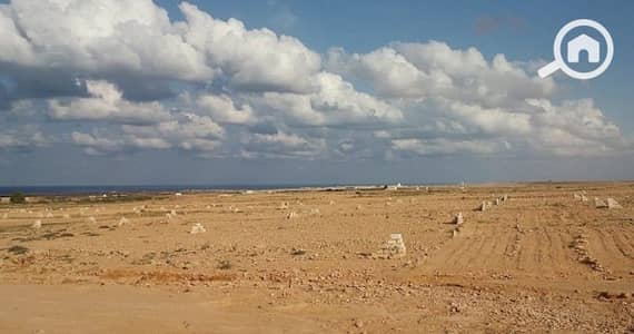 Factory for Sale in Ain Sukhna, Suez - WhatsApp Image 2026-01-13 at 5.57. 29 PM (4). jpeg