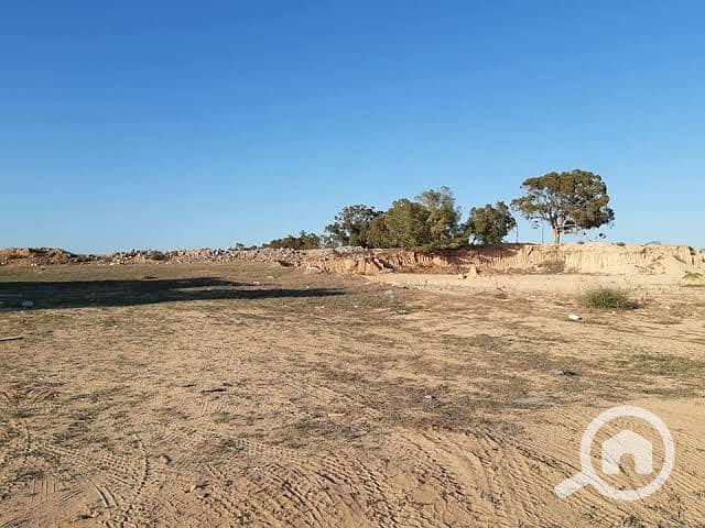 2 WhatsApp Image 2026-01-13 at 5.57. 29 PM (2). jpeg