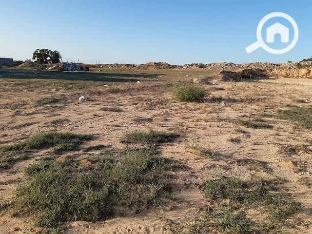 4 WhatsApp Image 2026-01-13 at 5.57. 29 PM (3). jpeg