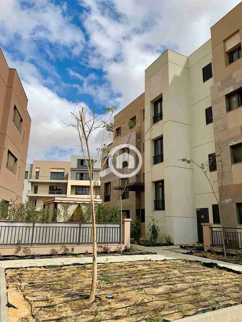 6 IMG_20251021_180117_939. jpg